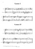 OTTO BREVI CANONI per due strumenti ad arco [Digitale]